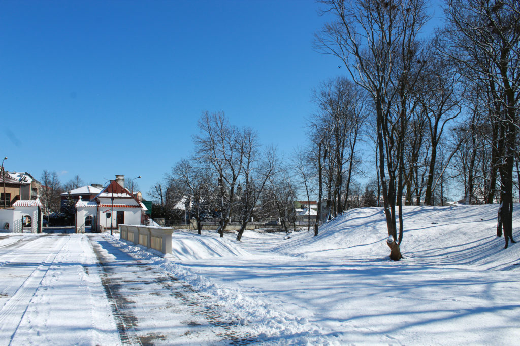 widok na park zimą