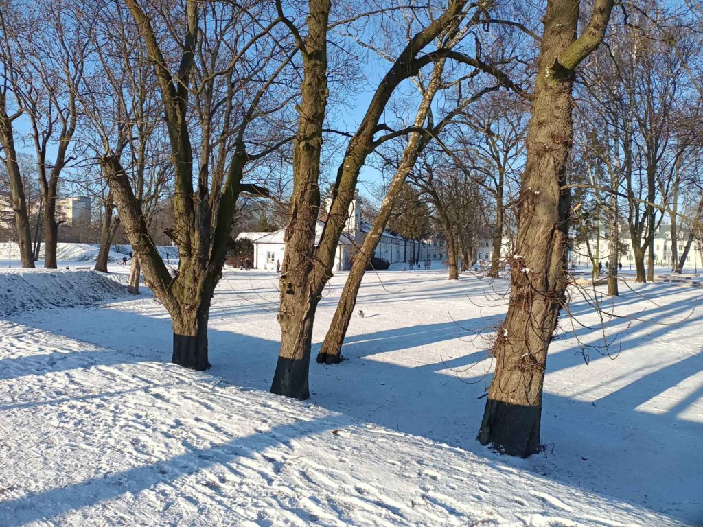 biała podlaska zimą